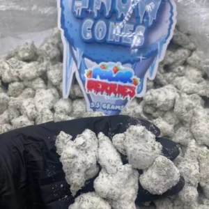 Snow Cone Polar Berries Ice Caps