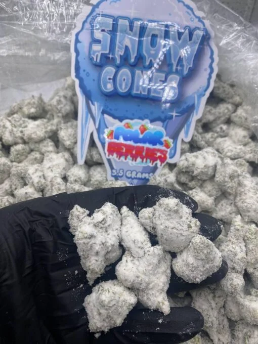 Snow Cone Polar Berries Ice Caps